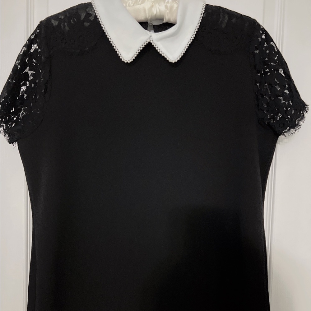 Alice+ Oliver lace sleeve top with Collar